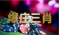 <b>8769 cc全年材料</b>